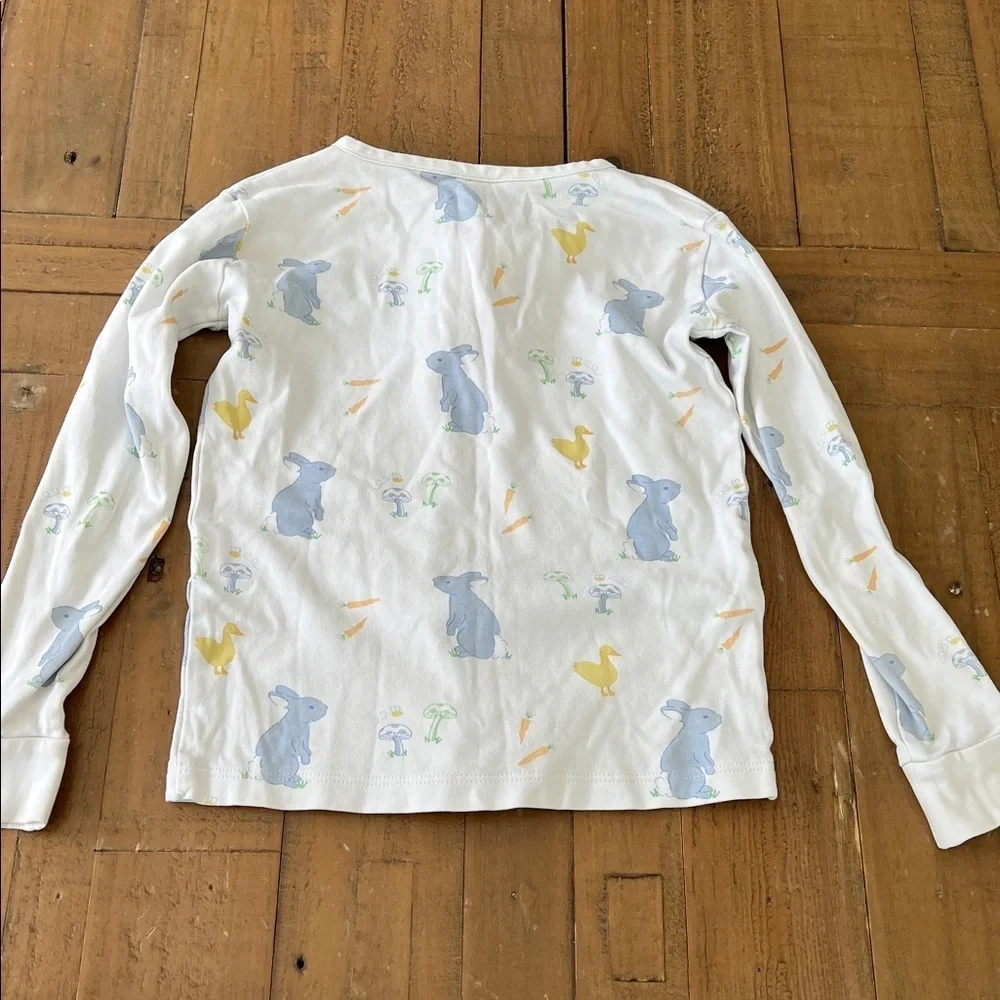 Little English Easter spring animal pajama set kids 6 bunny ducks long sleeve